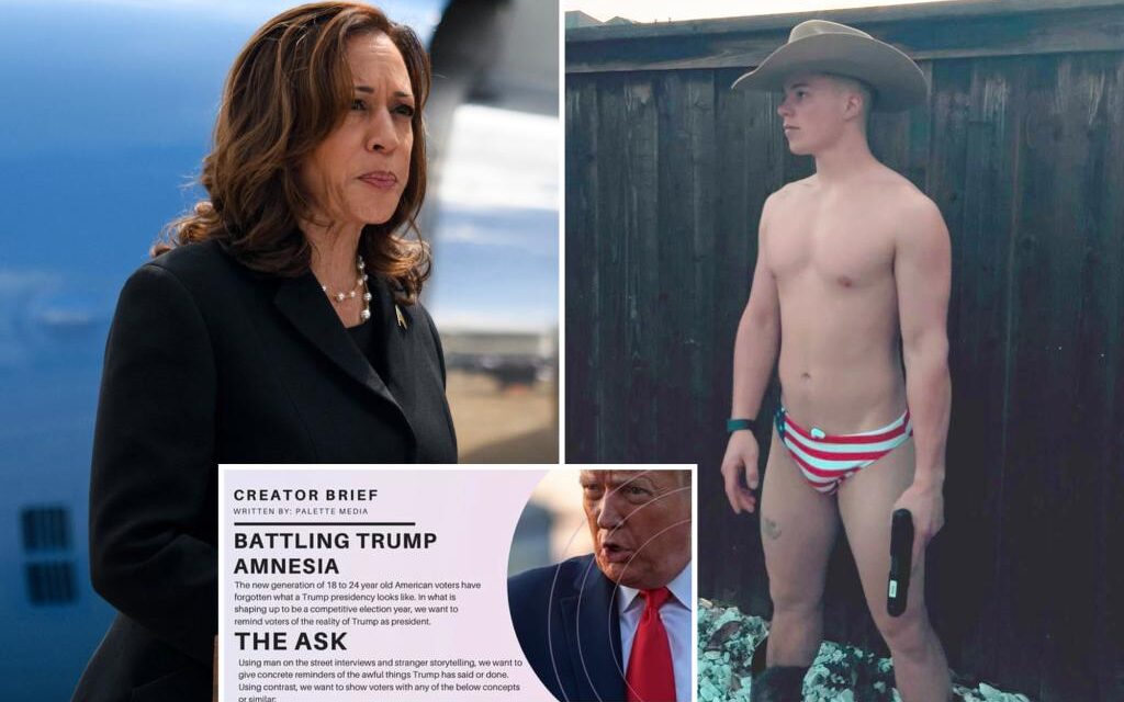 Kamala Harris SuperPAC soliciting anti-Trump posts from OnlyFans…