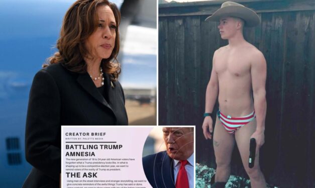 Kamala Harris SuperPAC soliciting anti-Trump posts from OnlyFans…