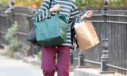 Lily Allen sports a casual look as she goes grocery shopping