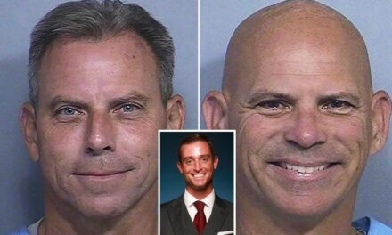 Killer Menendez brothers could make millions selling their story if…