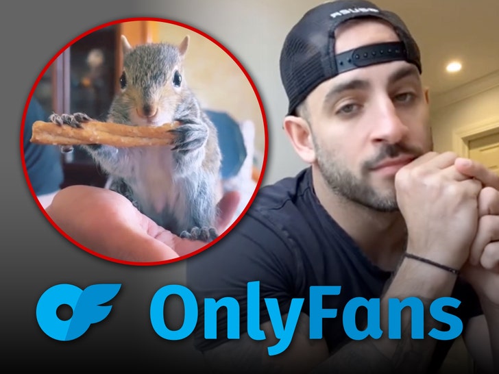 Peanut the Squirrel Raid May Have Actually Had To Do With Porn On OnlyFans