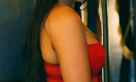 Prison officers can still have an OnlyFans account