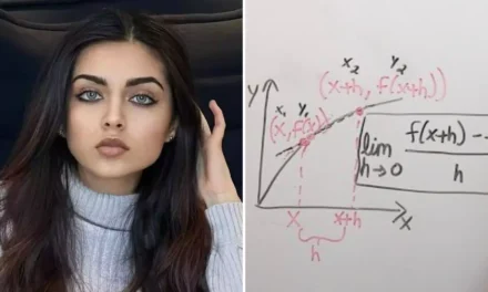 OnlyFans Star Zara Dar Who Quit Her PhD Is Now Posting Her Lectures On PornHub