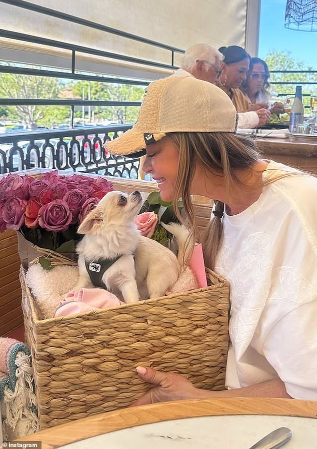 Demi brought along an adorable white Chihuahua to the outing
