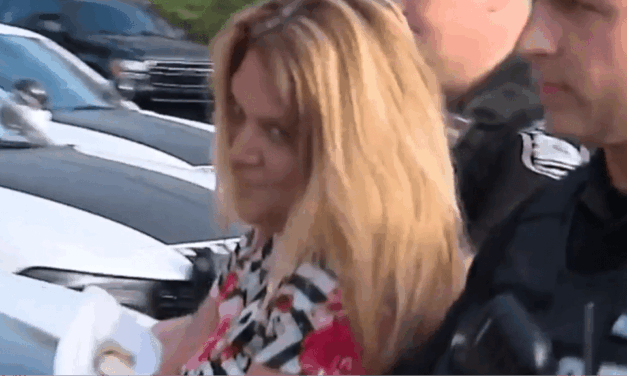 Road Rage Incident Ended With OnlyFans Model Pooping on a Car