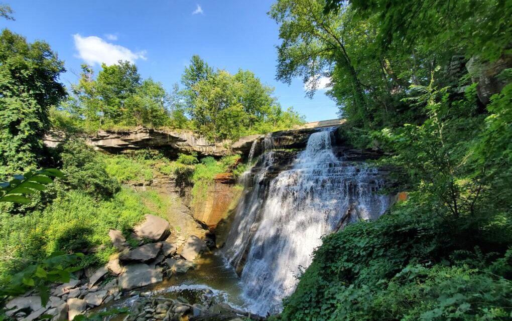 OnlyFans model pleads guilty to murdering man in Ohio national park in cross-country plot