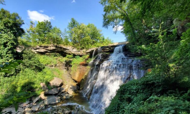 OnlyFans model pleads guilty to murdering man in Ohio national park in cross-country plot